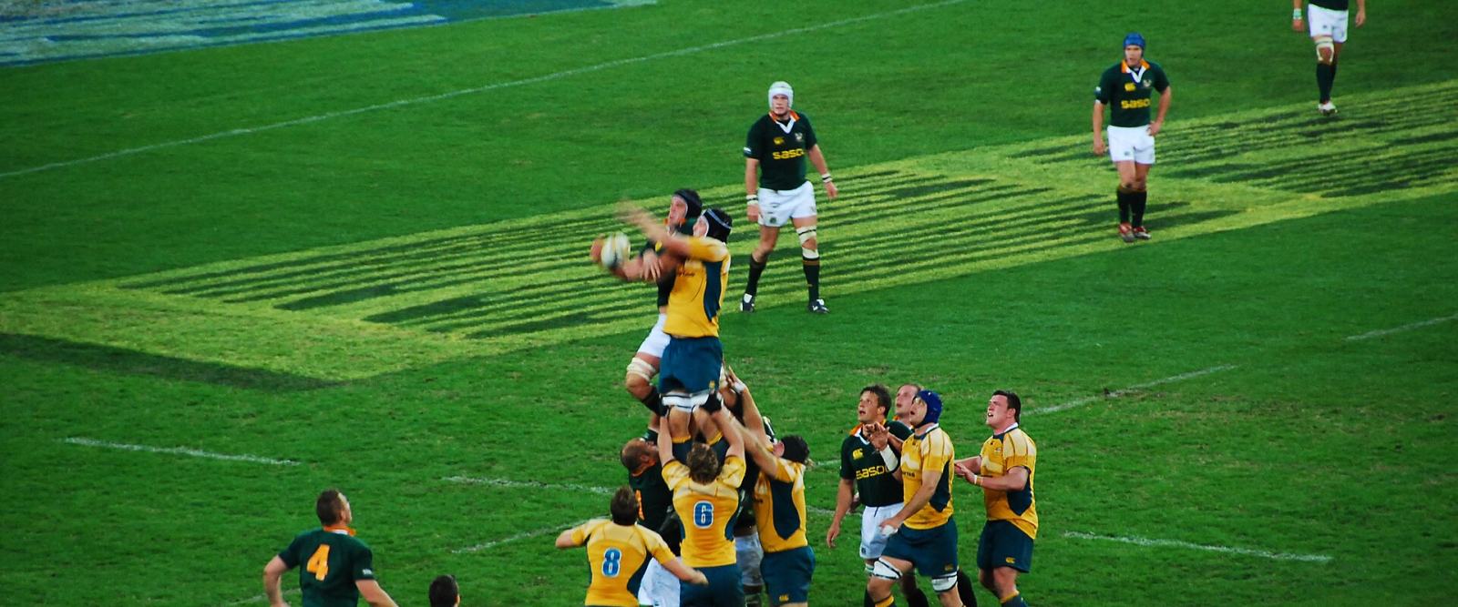 A rugby union lineout during a Wallabies test match